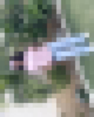 Privacy-protected preview for Salami O., Maid